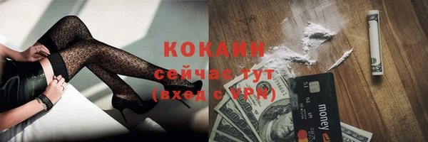 гидра Горняк