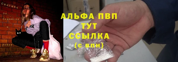 гидра Горняк