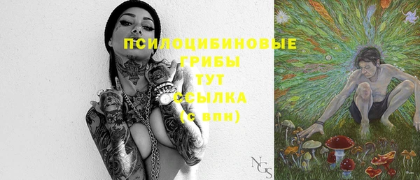 гидра Горняк