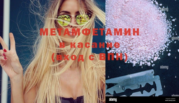 гидра Горняк