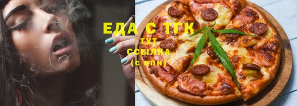 гидра Горняк
