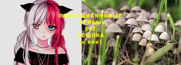 дурь Горнозаводск